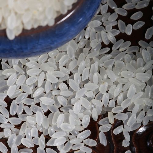 东北特产东北大米批发粒如月10kg超级稻大米原产地厂家